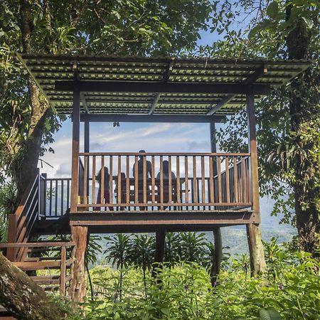 "Hana'S Celeste Retreat" Large Modern Villa Sleeps 6 On 20 Acres Of Nature! Bijagua Luaran gambar